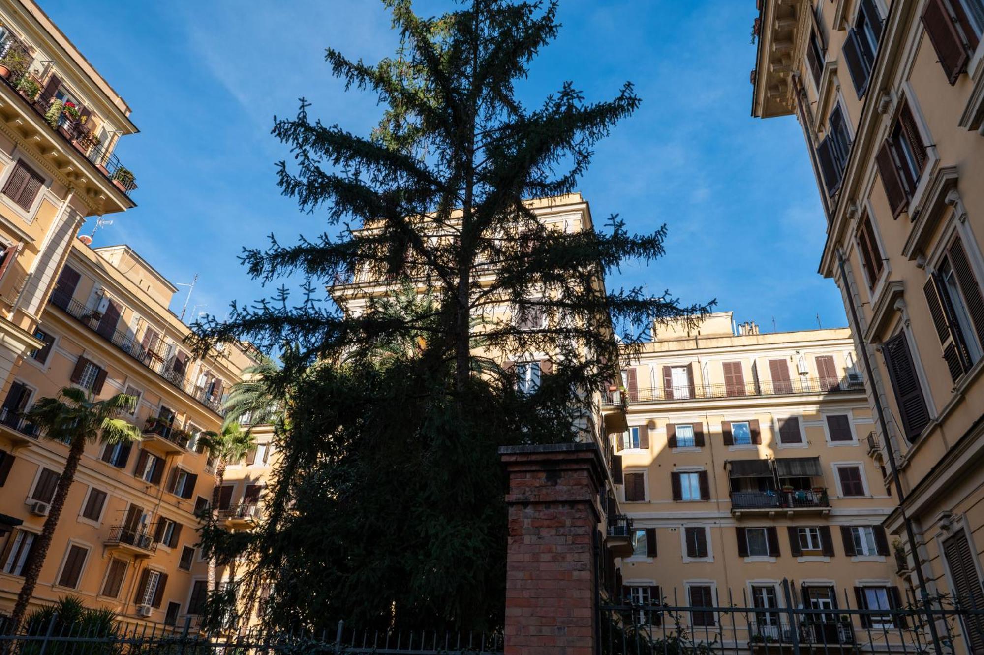 Appartement Borghese Design *